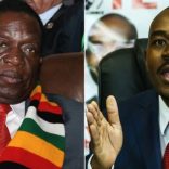 Zimvote.r
