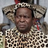 Zuluking