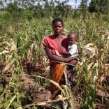 Agriculture.mz_