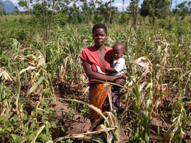 Agriculture.mz_