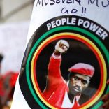 Bobiwineafn