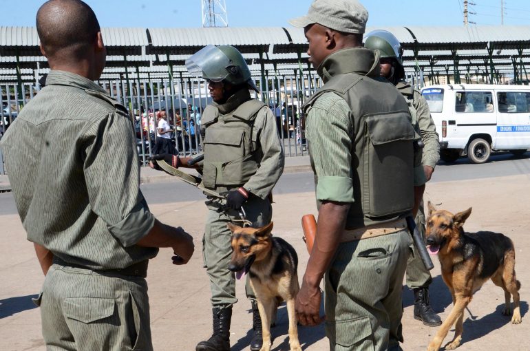 Canineunit.file_.am_