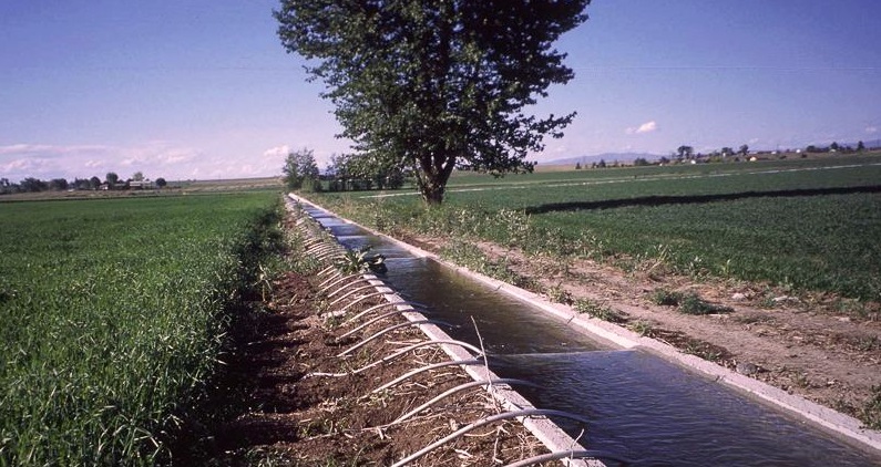 Chokweirrigationmozmaningnicefb