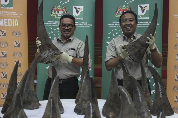 Malaysiarhinoafp