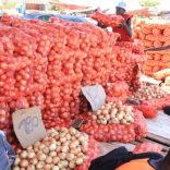 Market.file_.lusa_