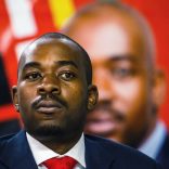Web_photo_nelson_chamisa_28062018