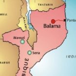 Mhoje_balamamz_photo_jpg