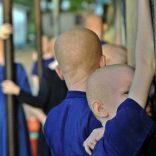 Albinos.africaa