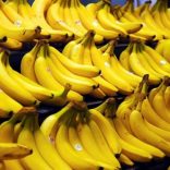 Bananasaim