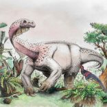 Dinosa