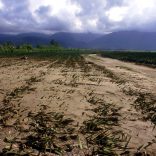 Faoclimatechange