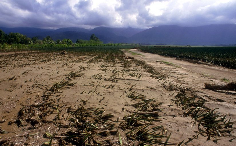 Faoclimatechange