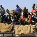 Illegalimmigrants.stopmocambique