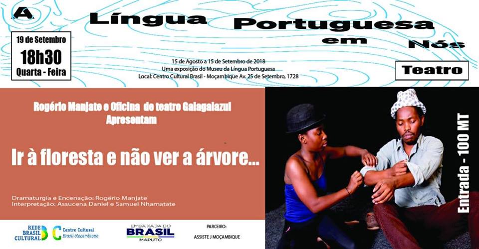 Ir-a-floresta-e-nao-ver-a-arvore