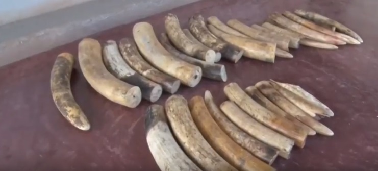 Ivorytete