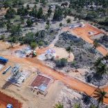 Savanah.mutamba.sands_.plantfile