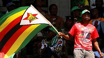 Zimflagafn