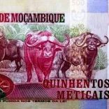 Mhoje_meticalnew5_photo_jpg