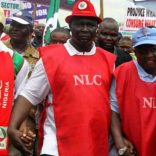 NLC-Labour-690x450