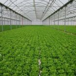 Agrifile