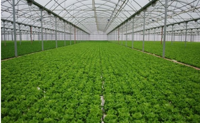 Agrifile