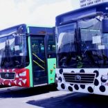 Buses1.rm_