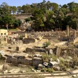 Cyrene2018