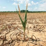 Drought.mozambique.mozambiqueresourcespost-1