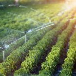Irrigattion.shutterstock