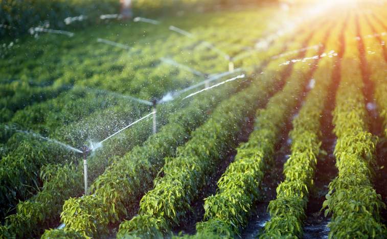 Irrigattion.shutterstock