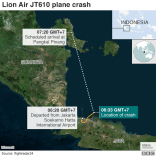 Lioncrash