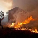 Mdm.bilne_.mdm_.ganinetedeinformacao.fb_