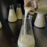 Milkbank