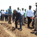 Nyusiagriculture.not_