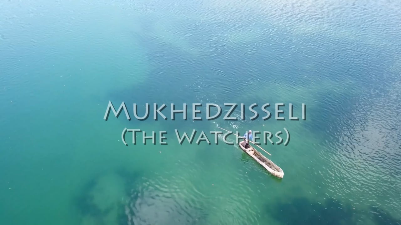 The-watchers
