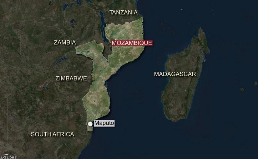 ZimMoza