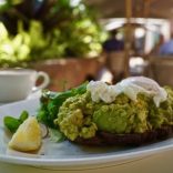 Avocadocraze