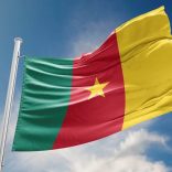 Cameroonflagg