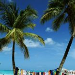 Caribbeans