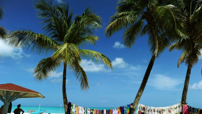 Caribbeans