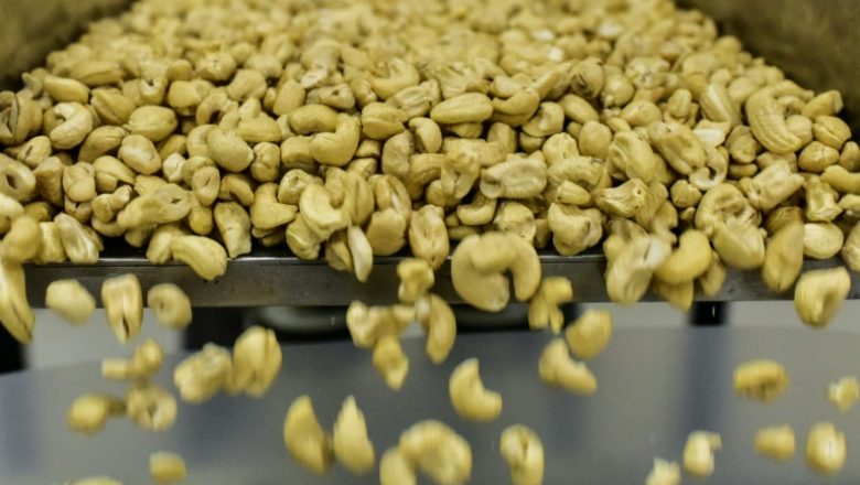 Cashewnutsafp