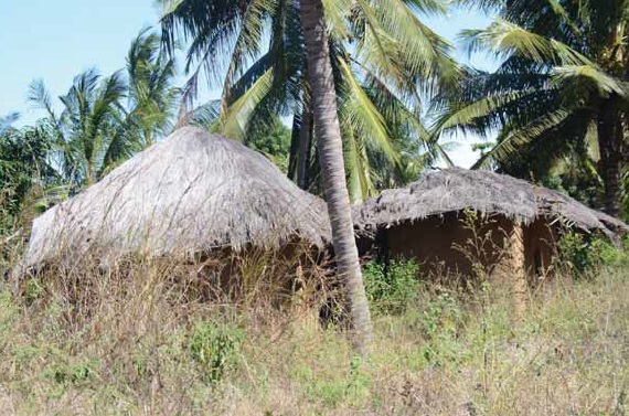 Mitumbate