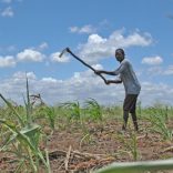Mozambique_farming.land_.machamba