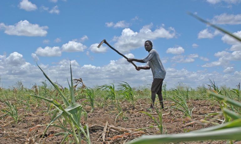 Mozambique_farming.land_.machamba