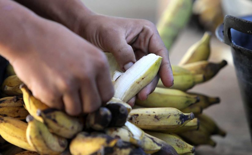 Banana