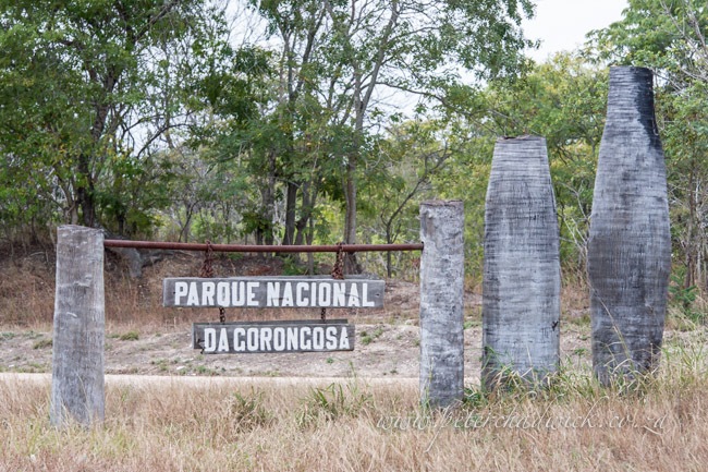 Gorongosa
