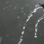 Mhoje_rainpemba_photo_jpg