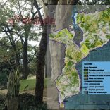 Banwoods