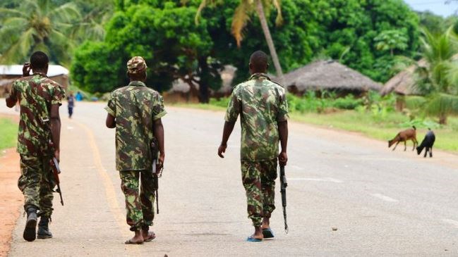 Cabodelgado.afp_.file_-1