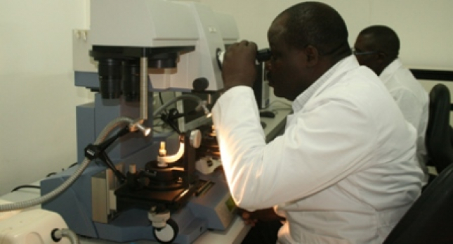 Laboratorio
